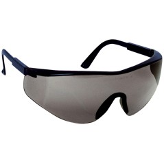 Lunettes "SABLUX" teintées