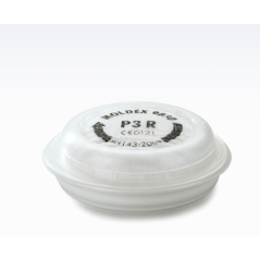 Filtre EASYLOCK P3R MOLDEX